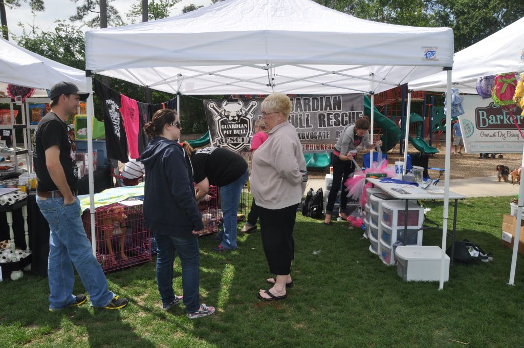 0426 spring bark 2013.jpg