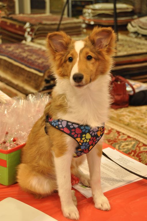 0493 PWC 12-8-13.jpg