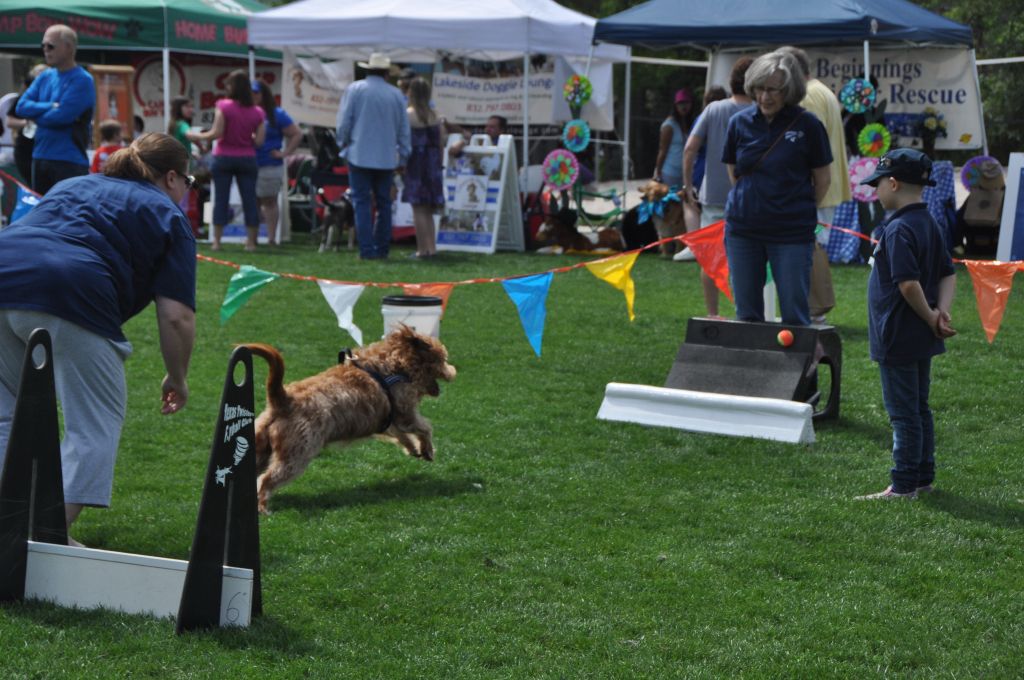 0471 spring bark 2013.jpg