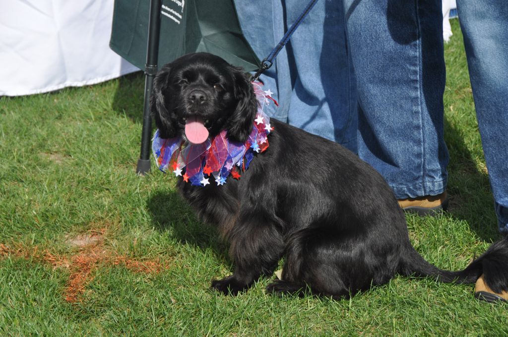 0371 spring bark 2013.jpg