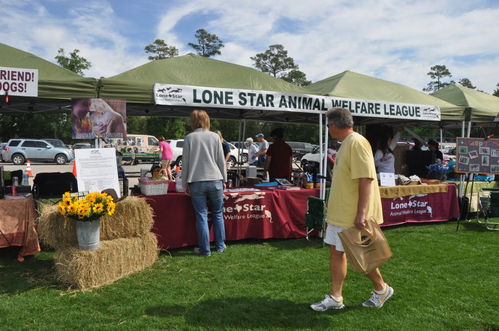 0404 spring bark 2013.jpg