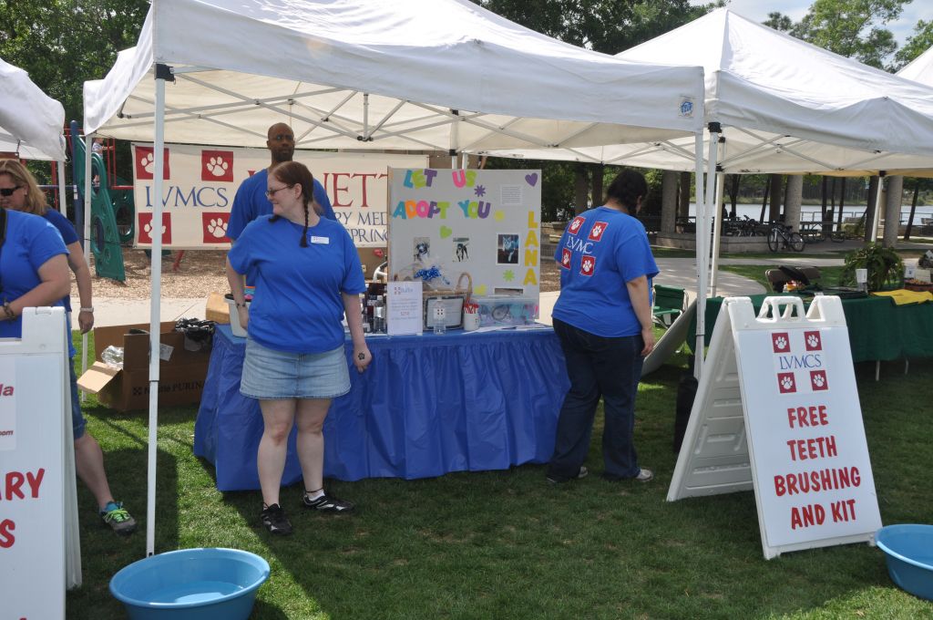 0434 spring bark 2013.jpg