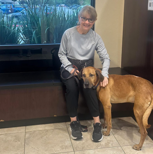 Georges Heartworm Story - The Real Cost of Heartworm.png