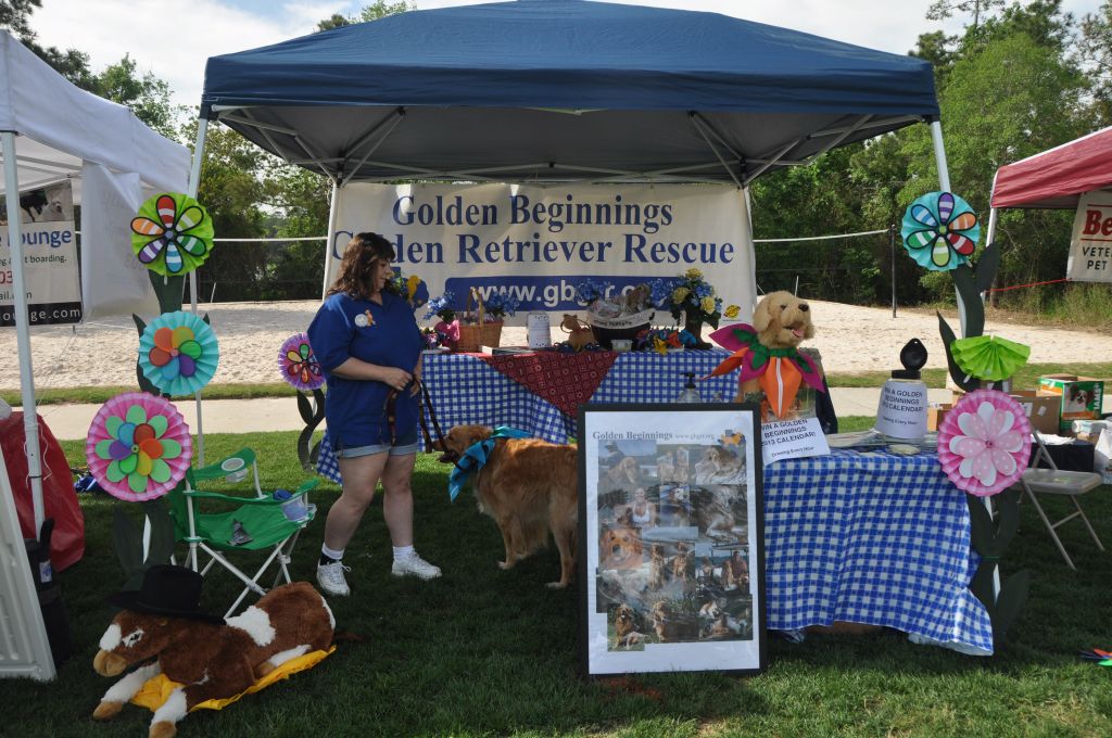 0362 spring bark 2013.jpg