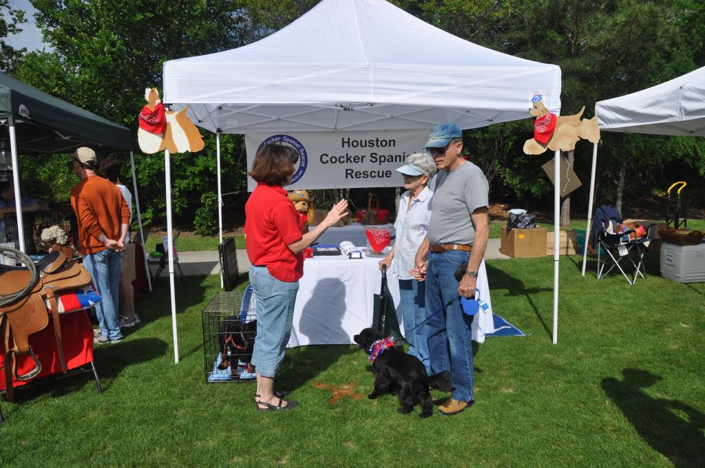 0374 spring bark 2013.jpg