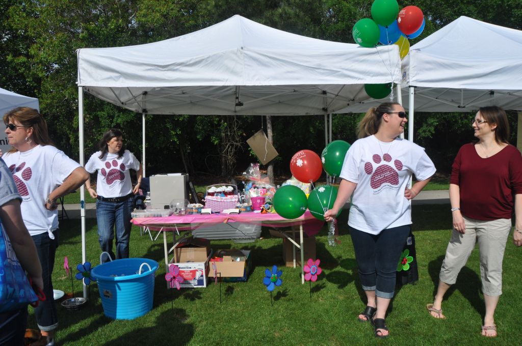 0375 spring bark 2013.jpg