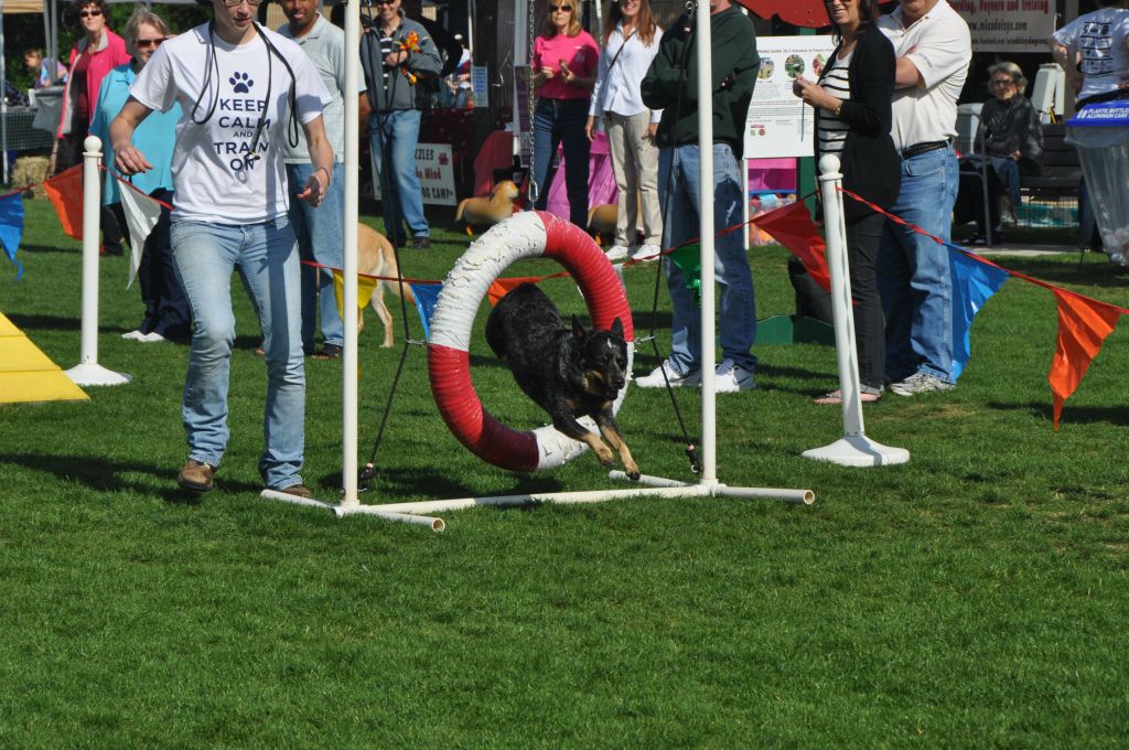 0313 springbark 2013.jpg