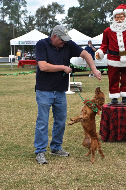 0357 PawswithClaus 12-1-12.jpg