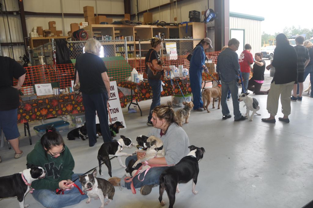 0102 Pet Health Fair 11-13.jpg
