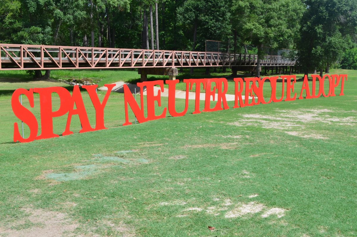 Spay Rescue 2014 009.jpg
