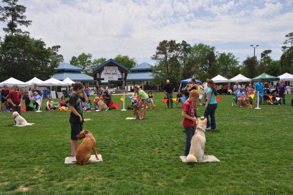 0607 spring bark 2013.jpg