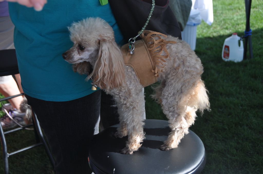 0253 spring bark 2013.jpg