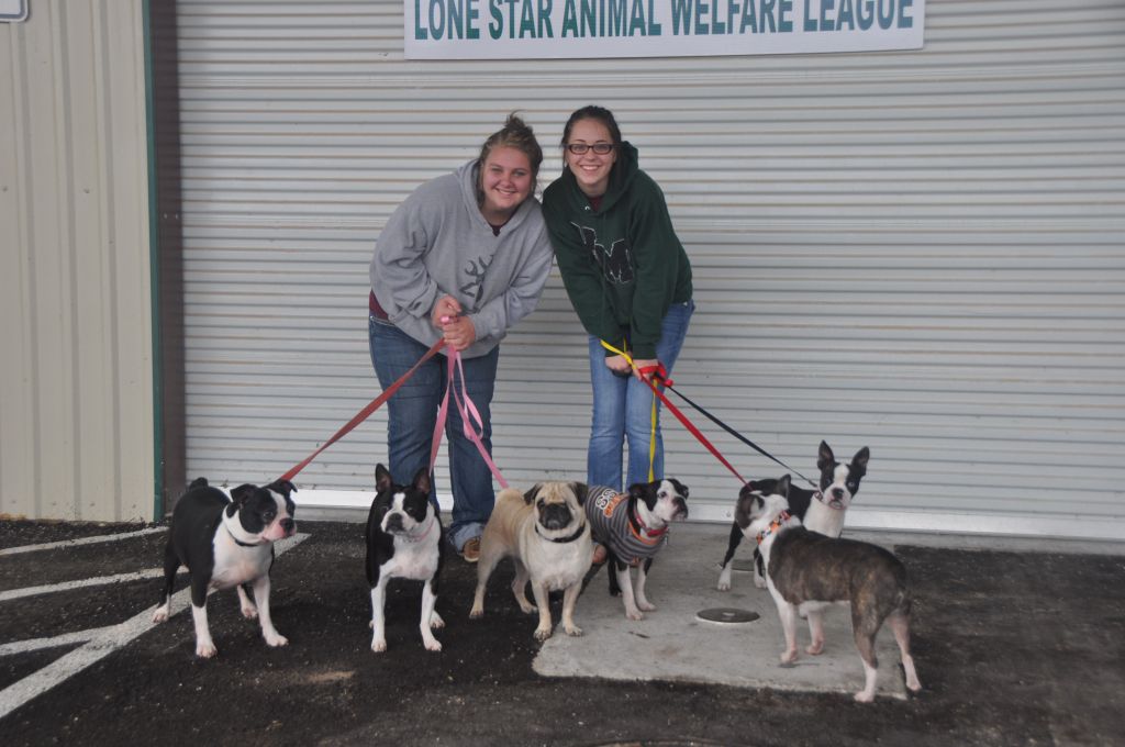 0083 Pet Health Fair 11-13.jpg