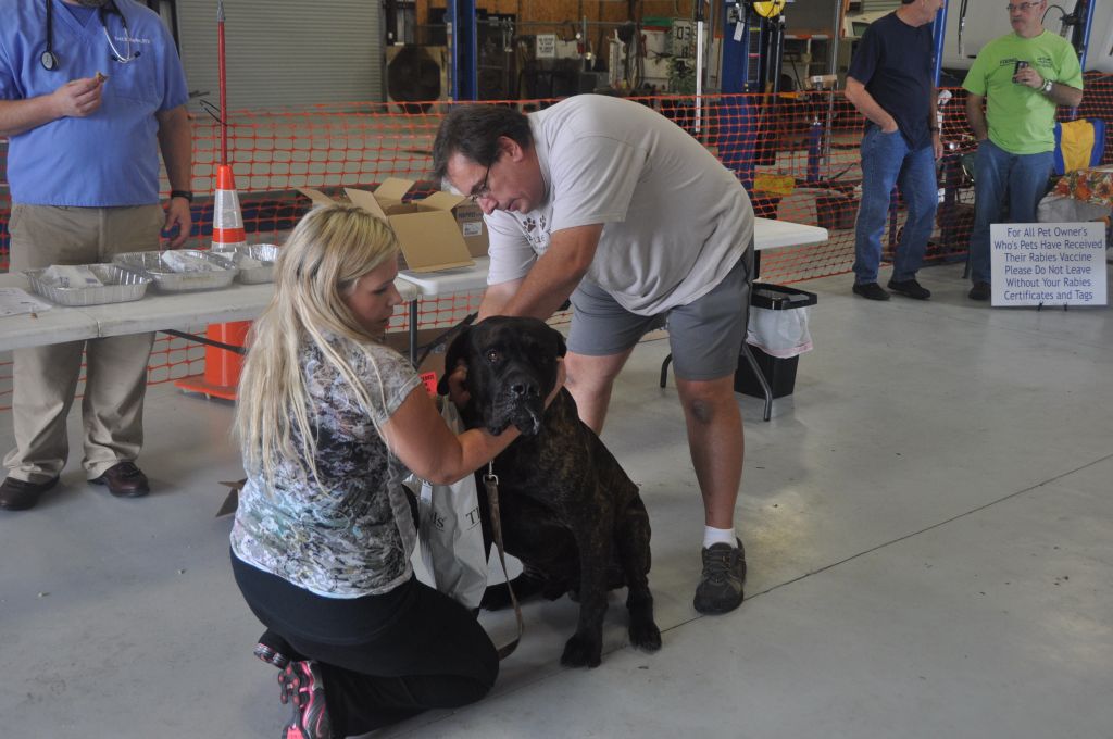 0139 Pet Health Fair 11-13.jpg