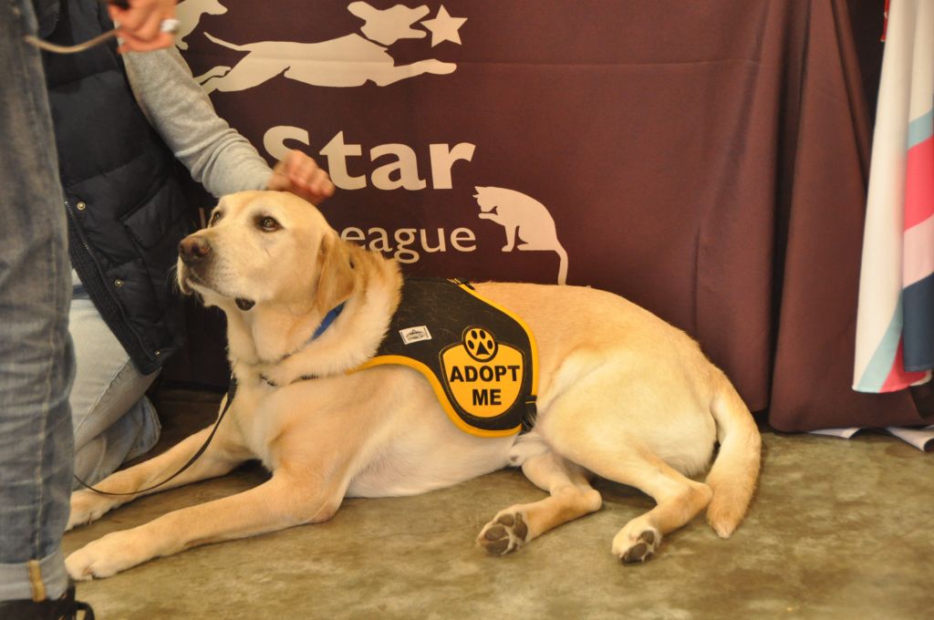 0489 PWC 12-8-13.jpg