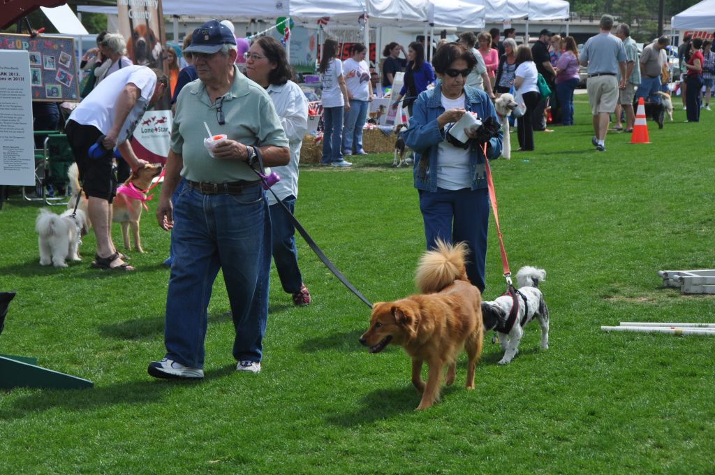 0455 spring bark 2013.jpg