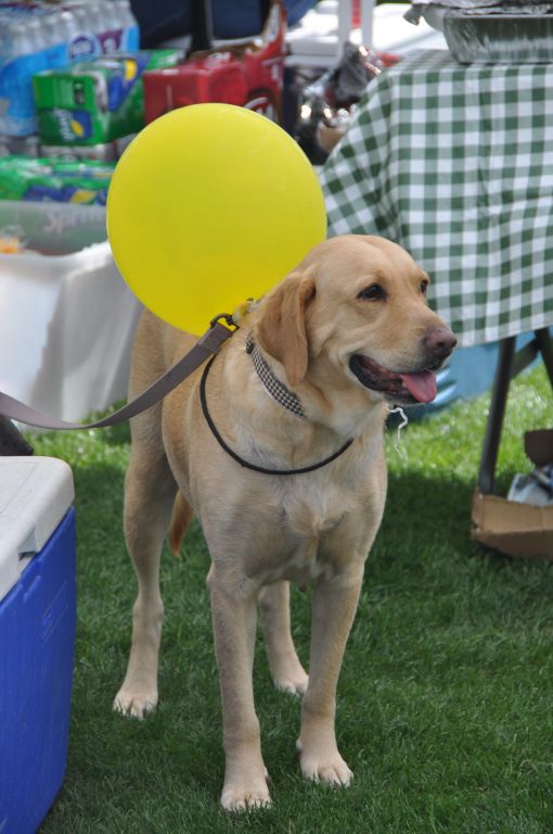 0450 spring bark 2013.jpg