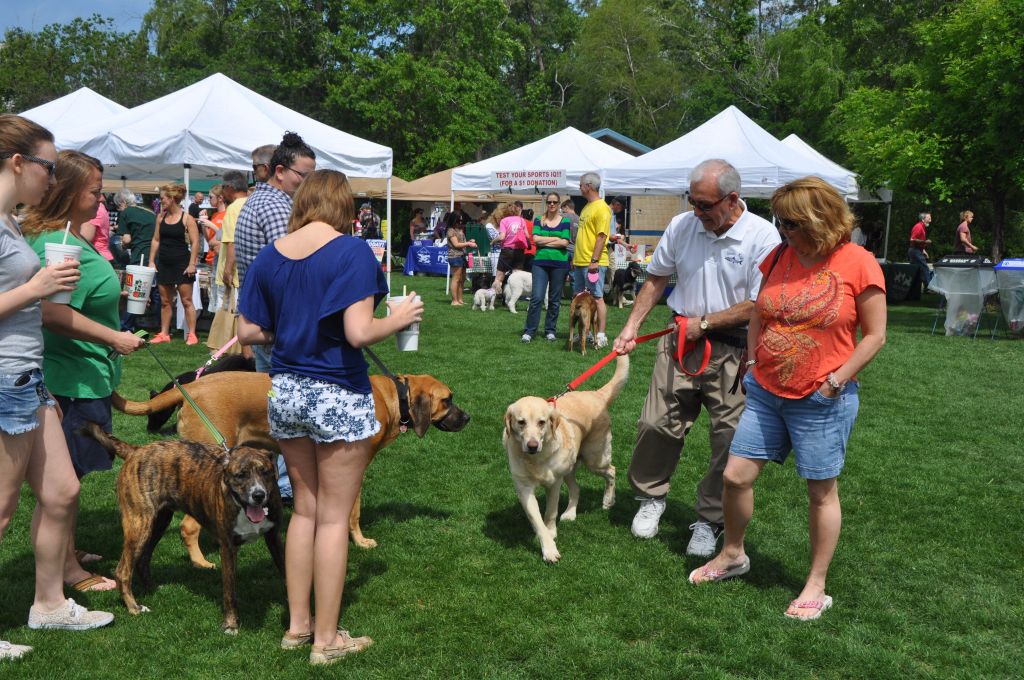 0547 spring bark 2013.jpg