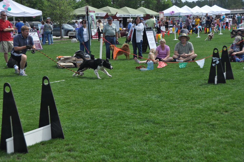 0478 spring bark 2013.jpg