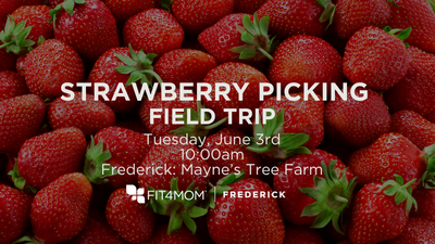 strawberry picking field trip.png