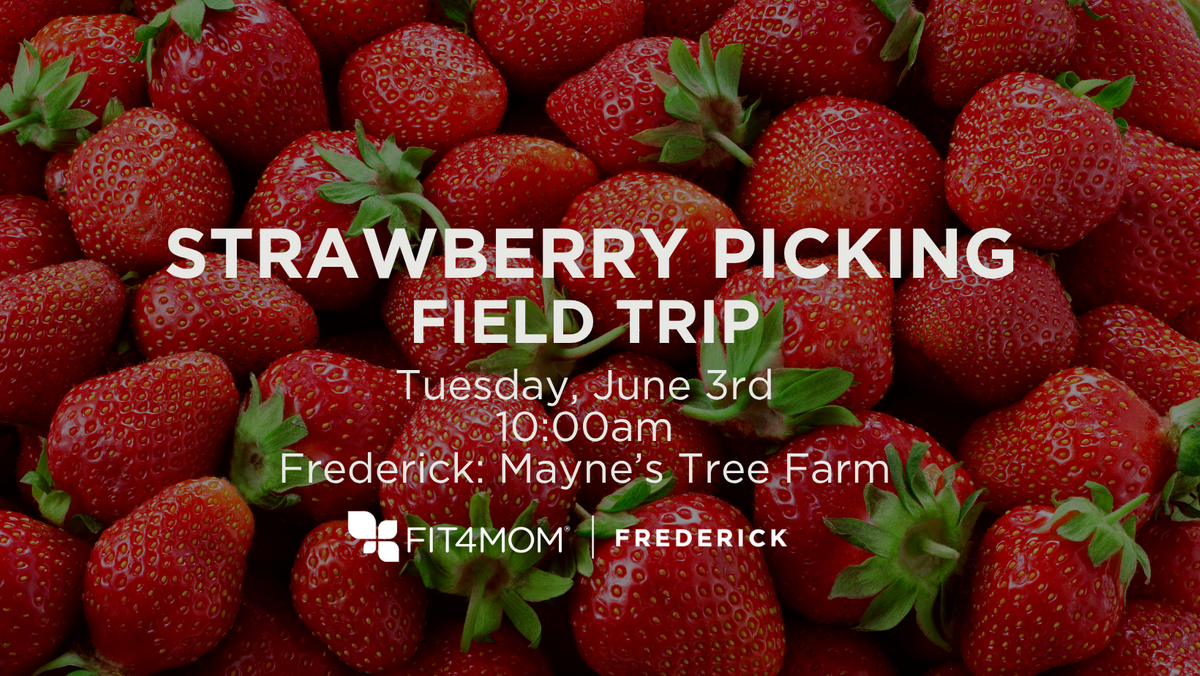 strawberry picking field trip.png