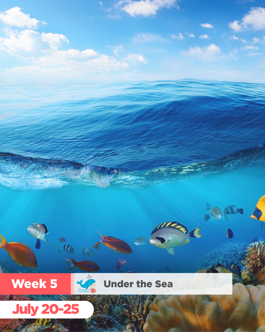 camp fit4mom under the sea week.png