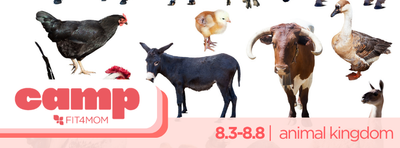animal kingdom week.png