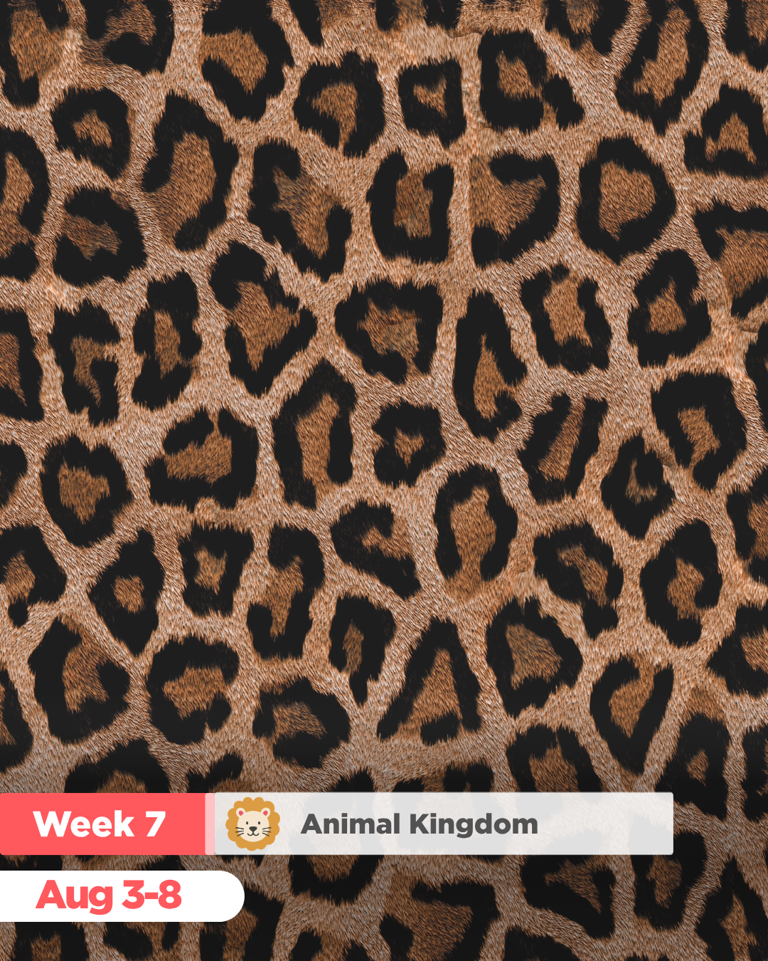 camp fit4mom animal week.png