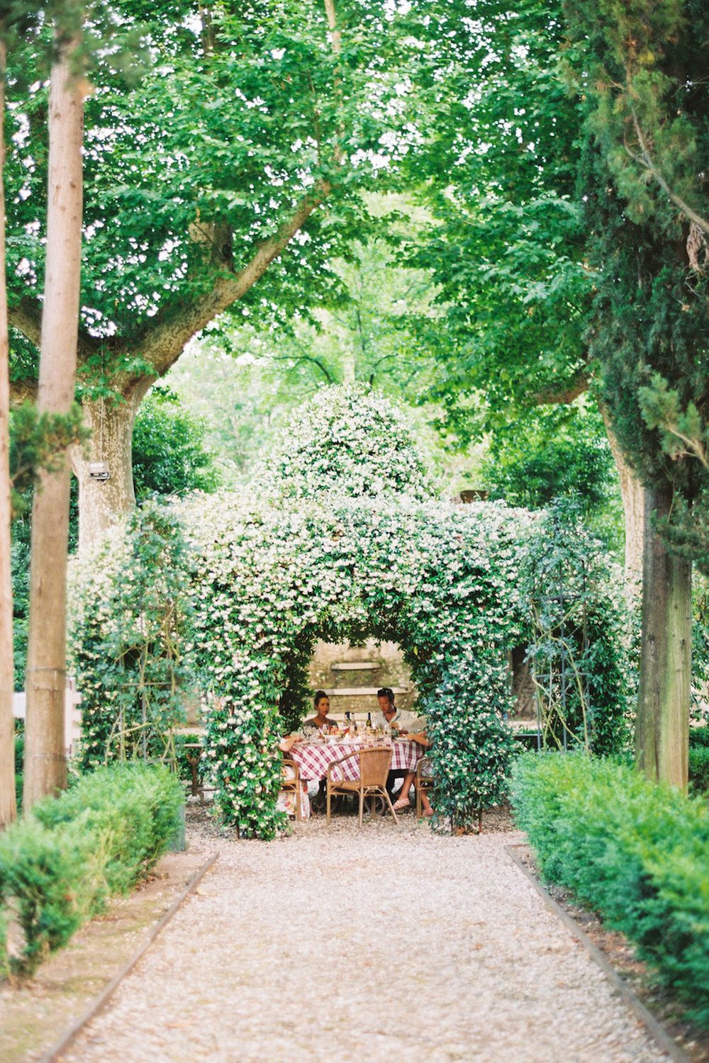 jasmine covered gazebo