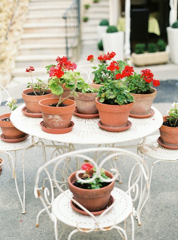 potted flowers in florence