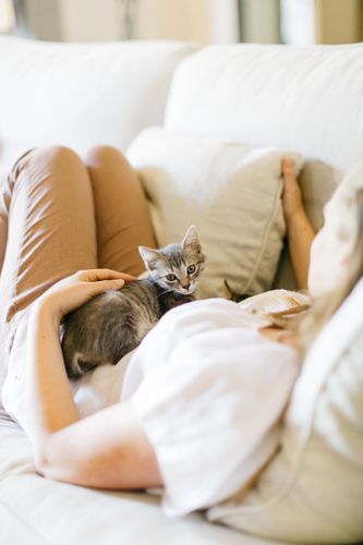 the sweetest house guest