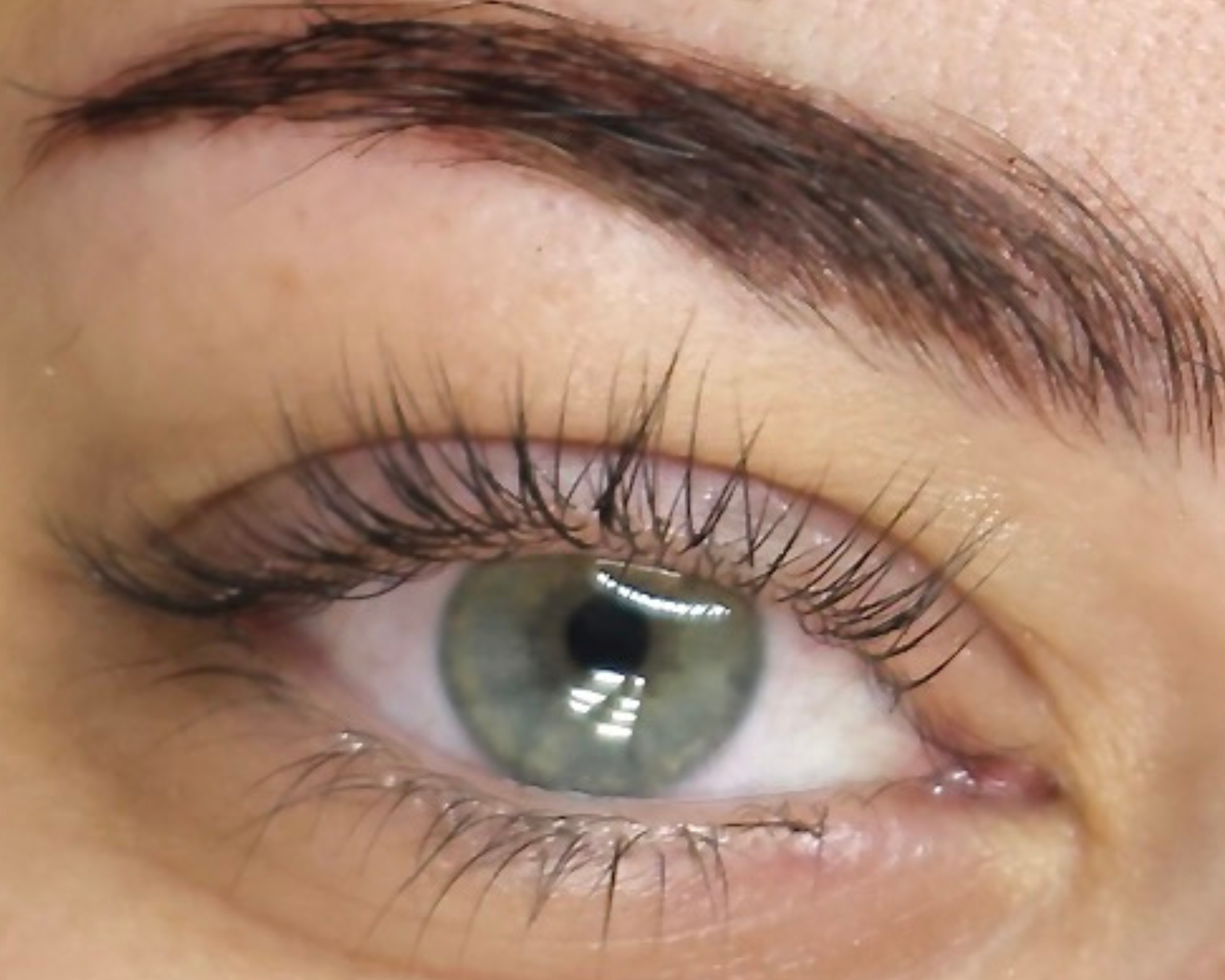 A close-up of a client’s eye showing results of a lash lift and brow tint service performed at Haus of FIDI in Pensacola. Close-up of eye after lash lift and brow tint