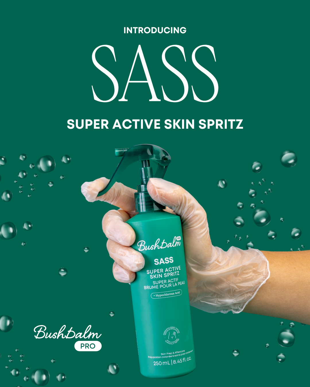 Introducing SASS.png