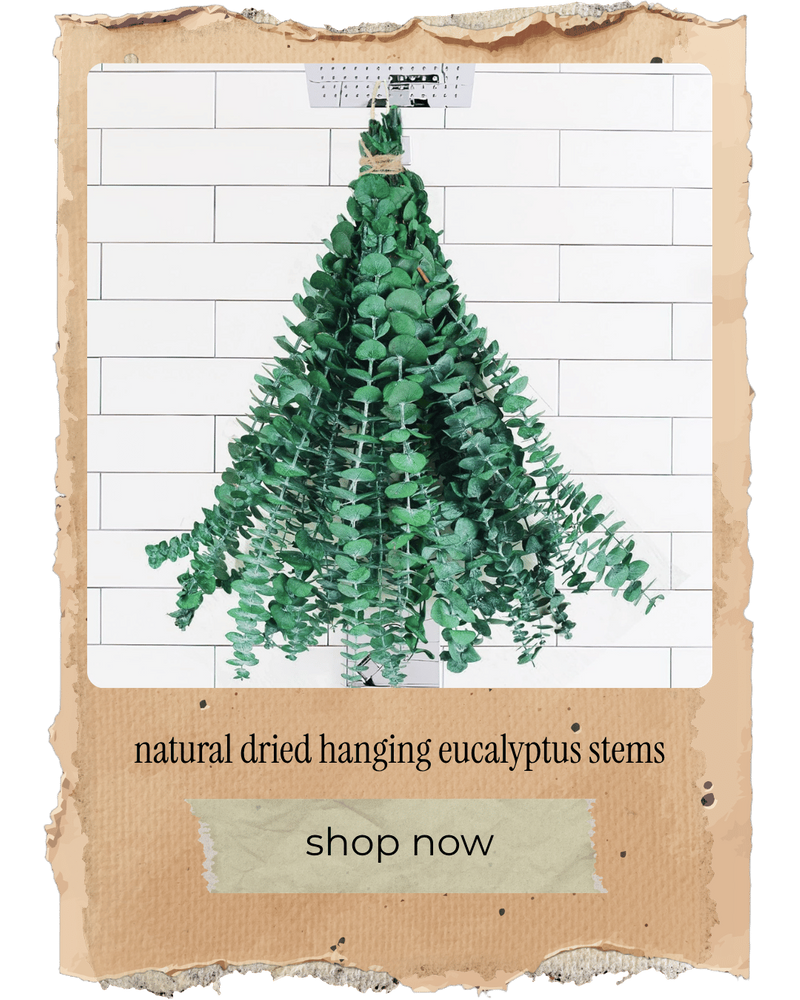 natural dried hanging eucalyptus stems% cotton gauze ginkgo leaf kimono robe.png