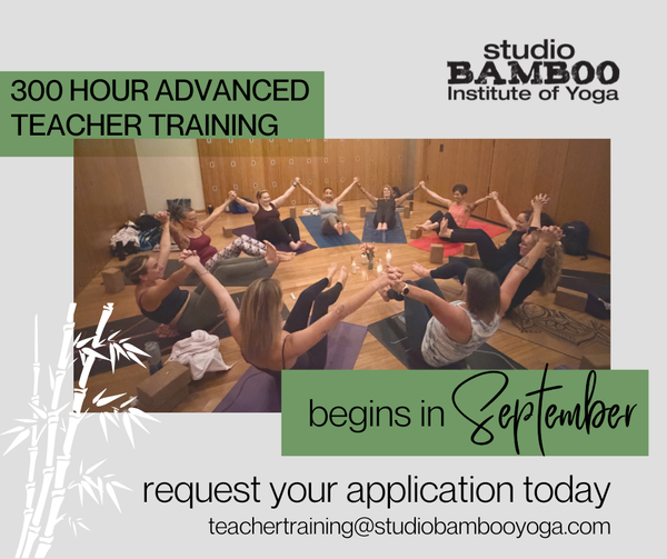 300 Hour YTT Promos.png