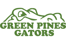 green pines download.png