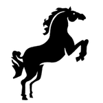 wild horse images.png