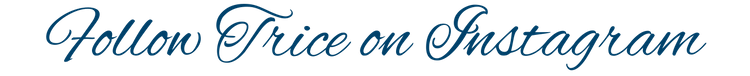 Salon 131 Logo.png