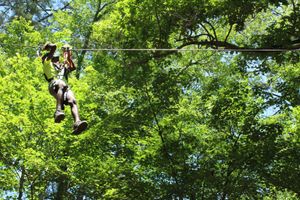 zipline pic.jpg