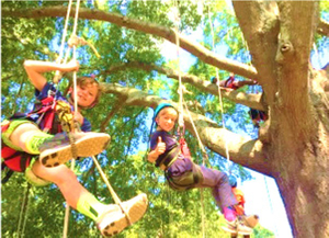 treeclimb_2016.jpg