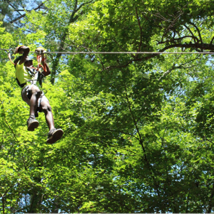 zipline piccut.jpg