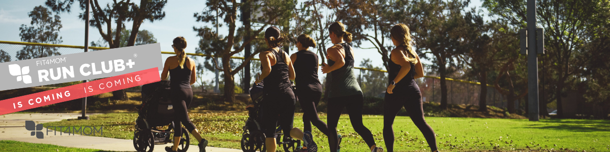 Copy of FRAN - TEMP - Black Friday - Web Banner  (1200 x 300 px).png