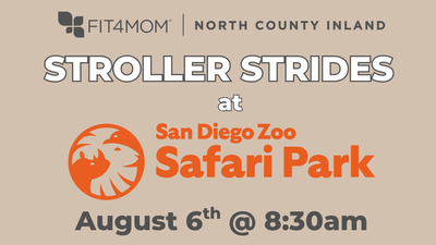AUG 6 Safari.png