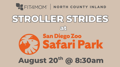 Aug 20 Safari.png