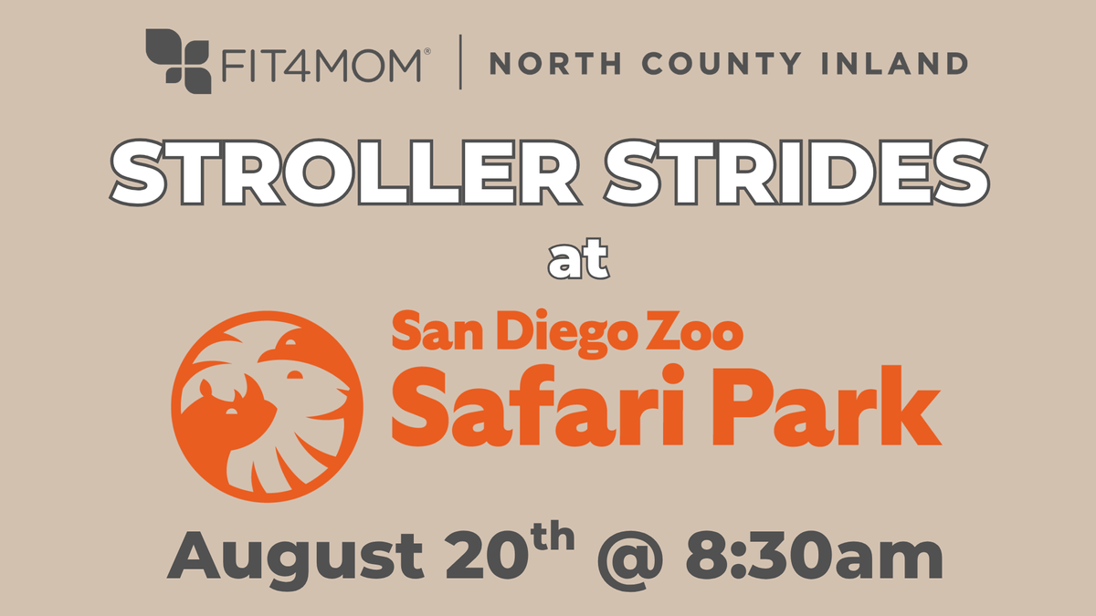 Aug 20 Safari.png