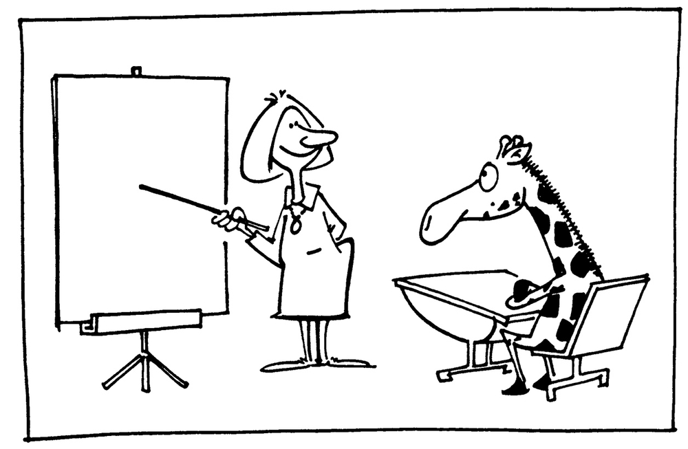 teach copy.jpg