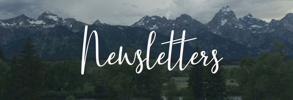 Sub Header Newsletters.jpg