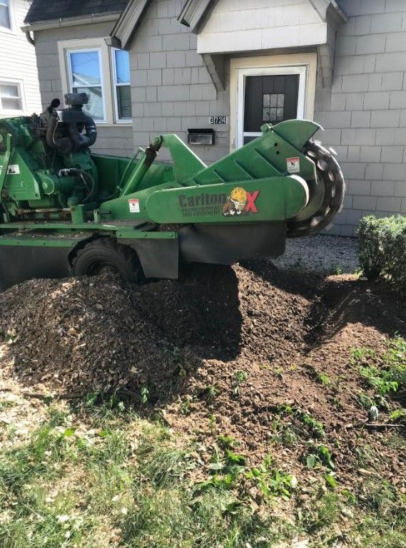 Tree Stump Grinding and Removal