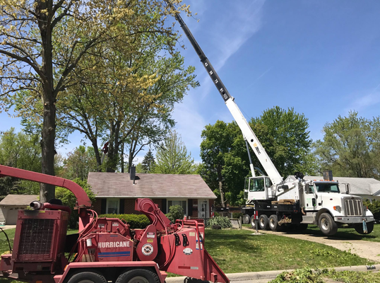 No matter where your tree is located, we can get the job done right! Hard to reach tree removal service