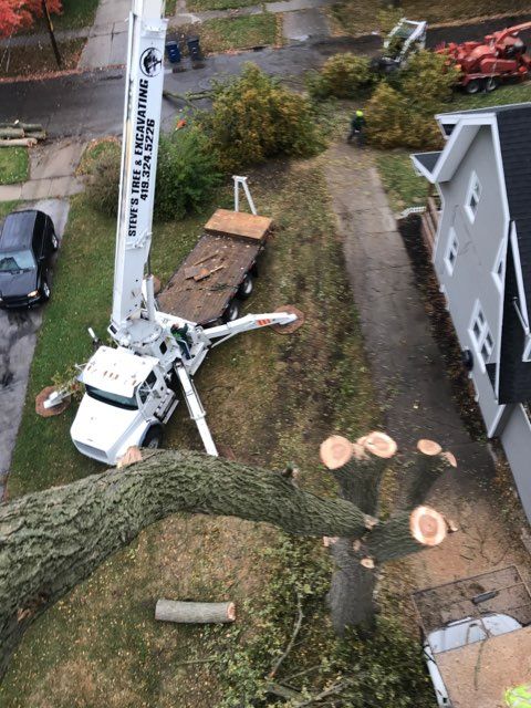 Toledo Tree Removal Company
